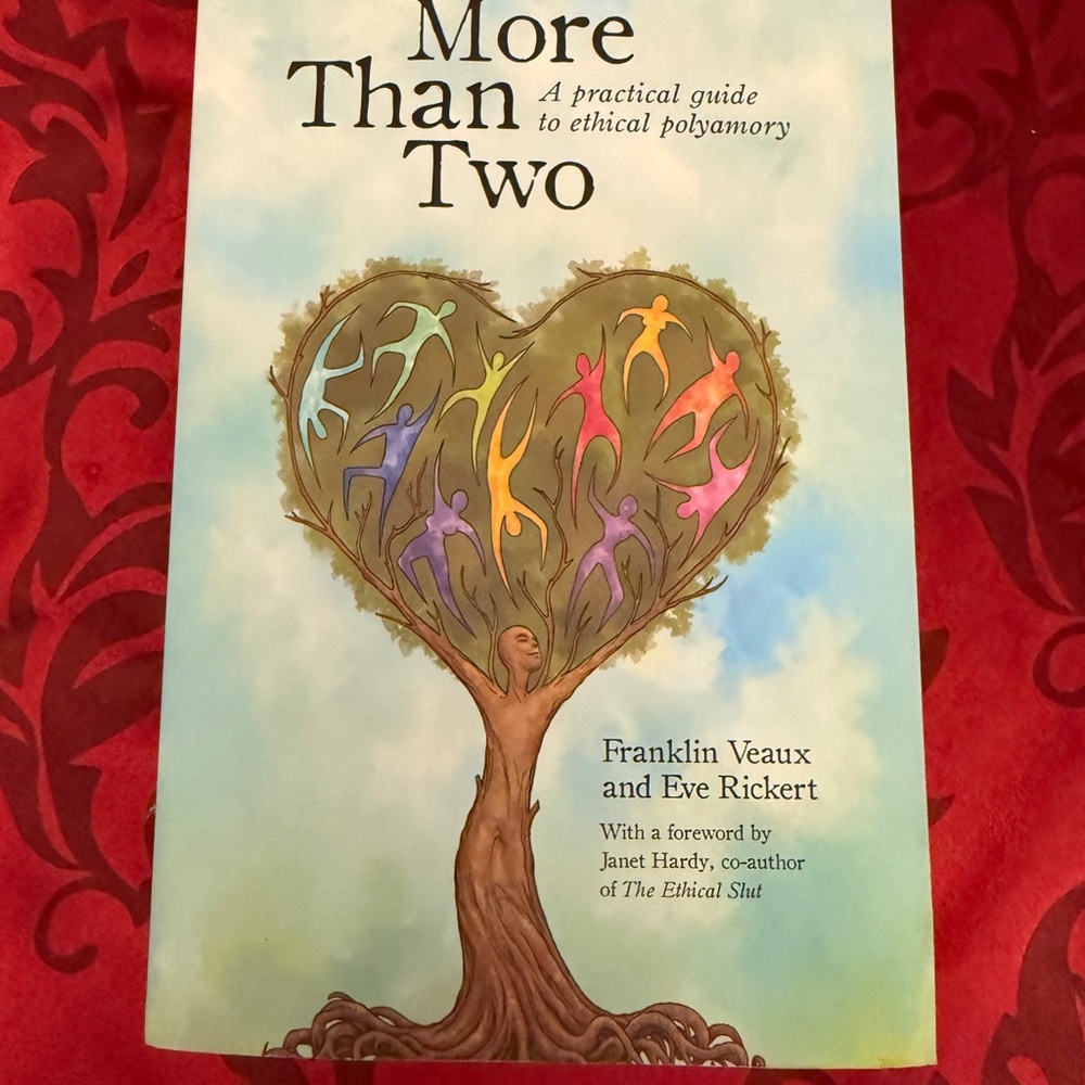More Than Two Book